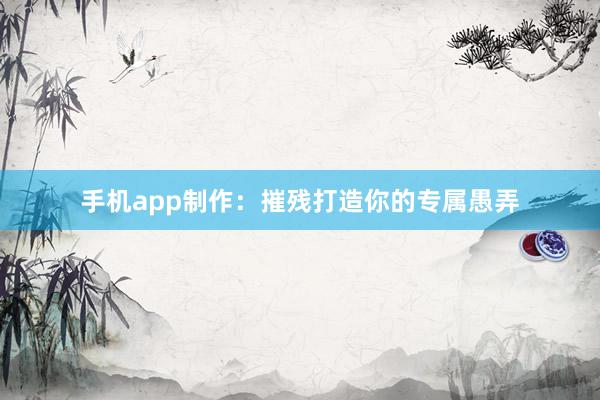 手机app制作：摧残打造你的专属愚弄