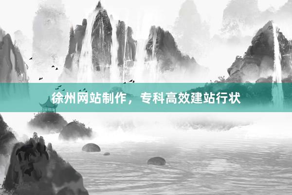 徐州网站制作，专科高效建站行状