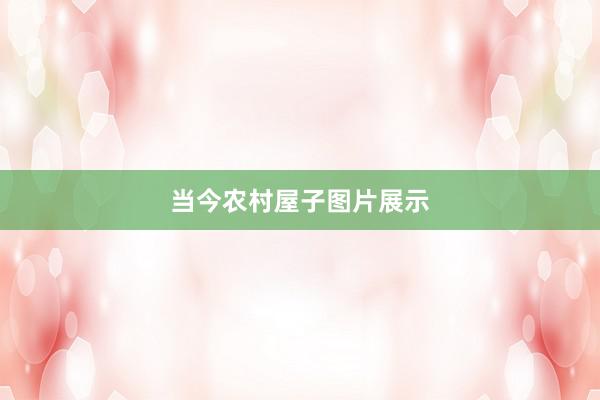 当今农村屋子图片展示