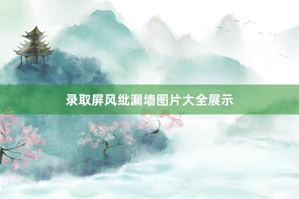 录取屏风纰漏墙图片大全展示