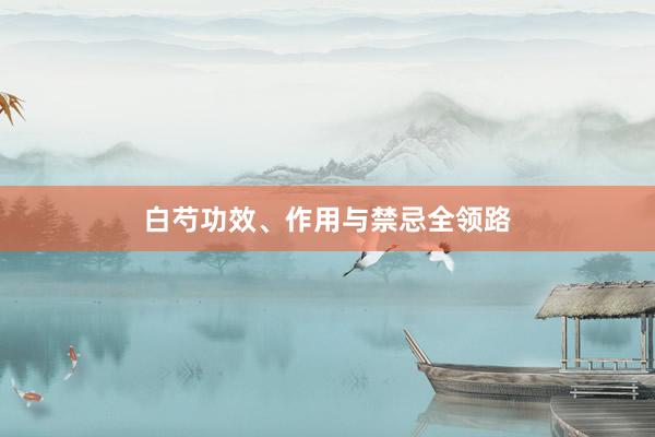 白芍功效、作用与禁忌全领路