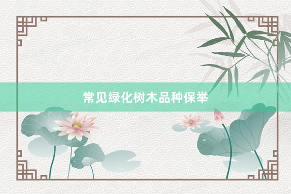 常见绿化树木品种保举