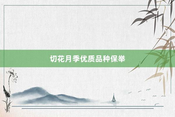 切花月季优质品种保举