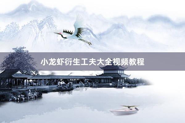 小龙虾衍生工夫大全视频教程